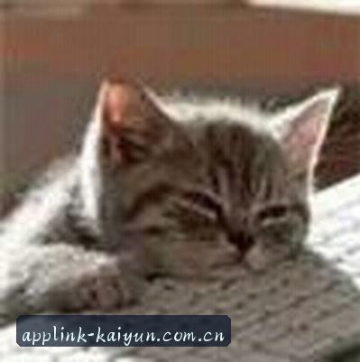 李磊